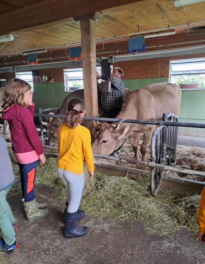 Besuch auf dem Bauernhof