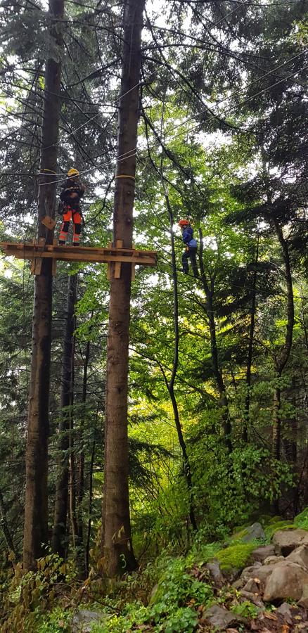 Arbeiten im Wald