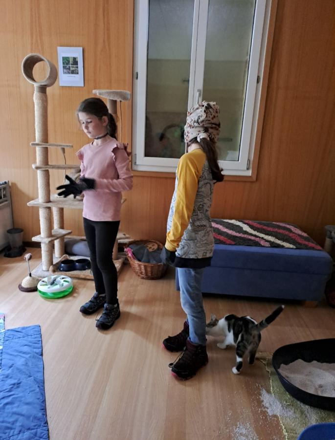 Besuch in der Tierpension