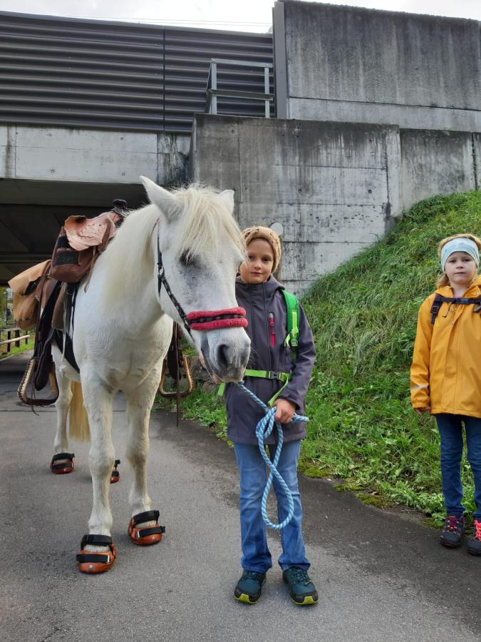 Ausflug mit dem Packpony