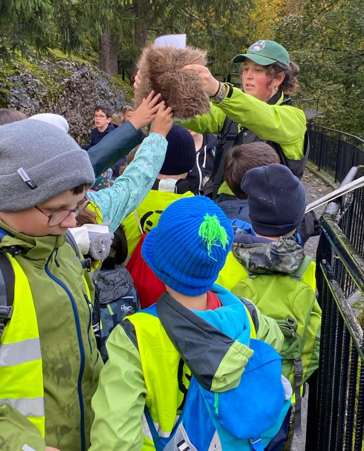 Erlebnisführung Tierpark